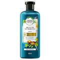 Herbal Essence Argan Oil Morocco Shampoo, 13.5oz