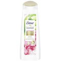 Dove Summer Ritual Aloe Vera & Rose Water Shampoo, 250ml